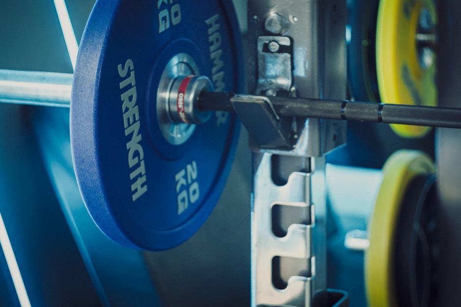 halterset 20 kg koopgids